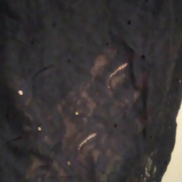 NWT - The Limited Blue Sheer Floral Lace Over Layer Cover Shirt - Size Large - Picture 7 of 11